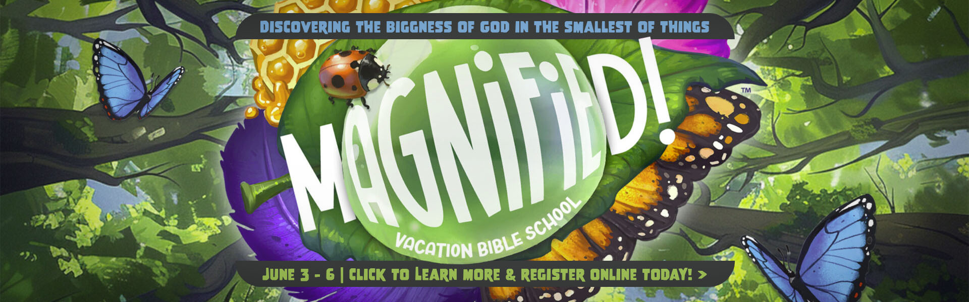 2026 VBS at Juniper Springs Baptist - Magnified!